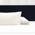 Bamboo Pillow Case - Linens