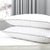 Luxury Micro Fibre Pillow w/ Silver Piping - Pillow