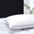 Luxury Micro Fibre Pillow w/ Silver Piping - Pillow